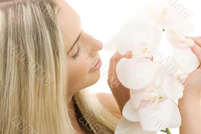 white orchid