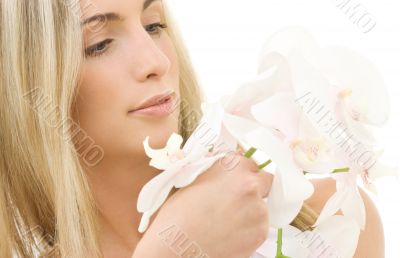 white orchid