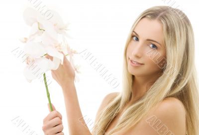 white orchid