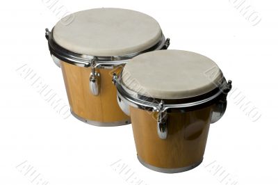 bongo