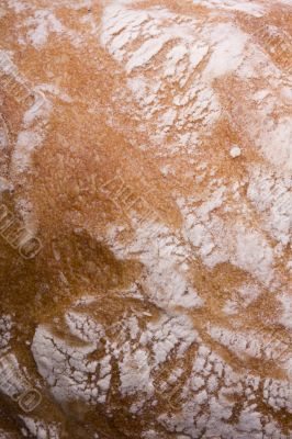 bread crust