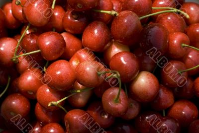 cherries background