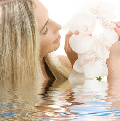 white orchid