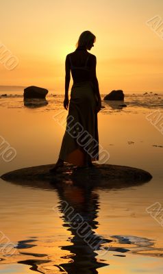 seashore silhouette