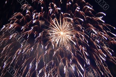 Firework