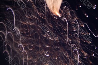 Firework