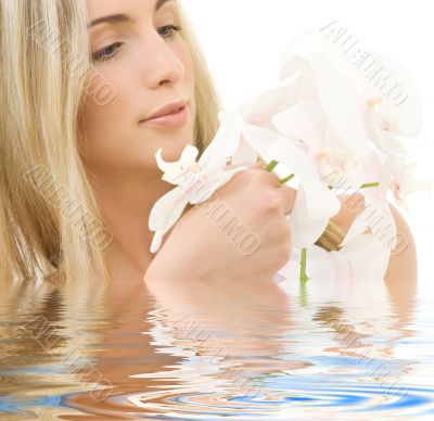 white orchid