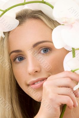 white orchid