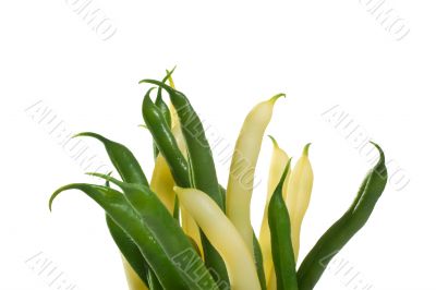 Green & Yellow Bean Bouquet