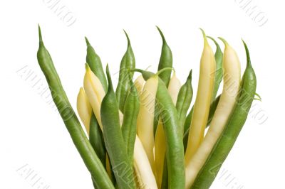 Green & Yellow Bean Bouquet