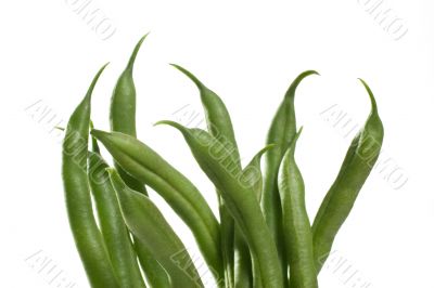 Green Bean Bouquet