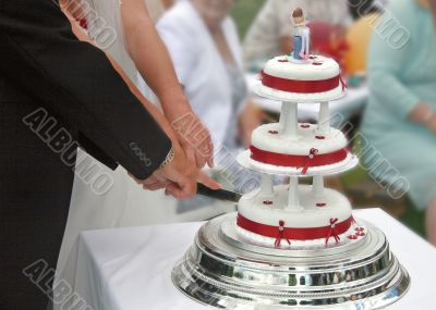 Cutting the Cake