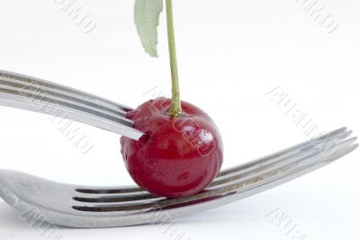 wet cherry with two fork