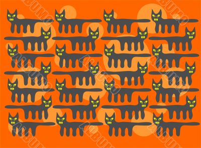 black cats background