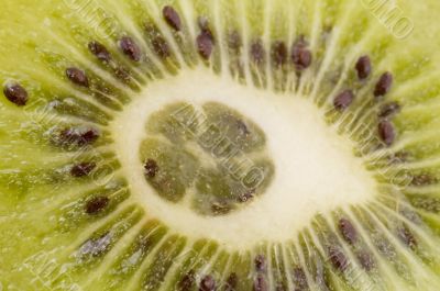 kiwi macro