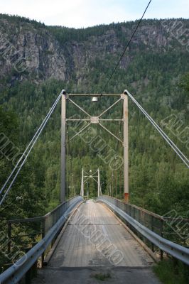 Wooden cable-stayed bridge