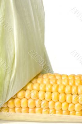corn cob