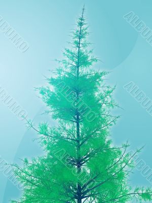Pine tree illustration