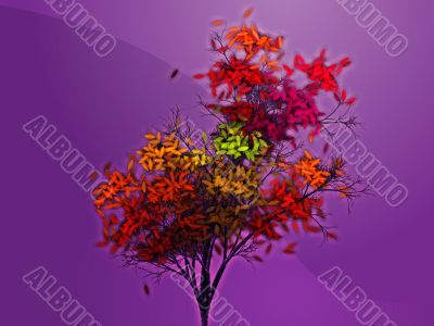 Autumn leafy tree