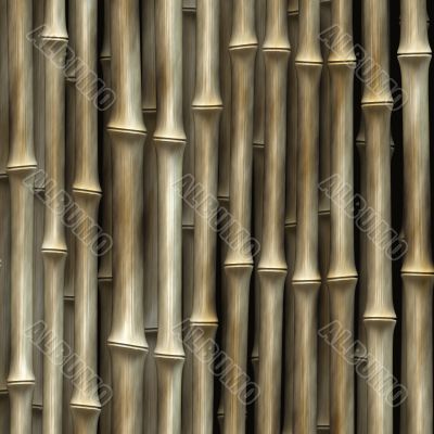 Bamboo plants