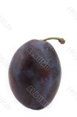 fresh plum