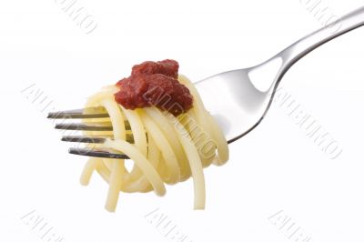 spaghetti