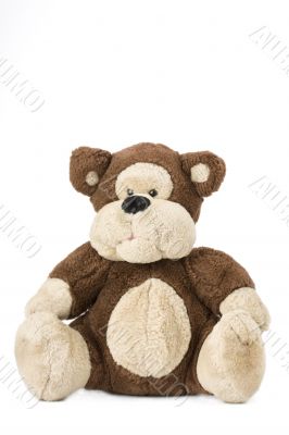 teddy bear
