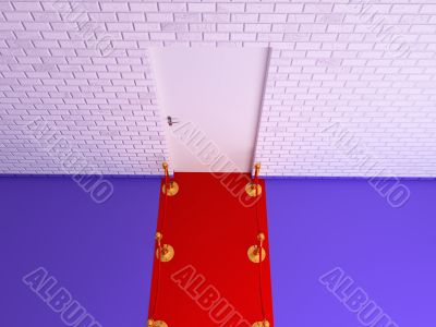 vip door and old wall