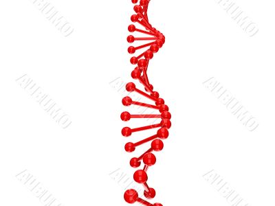 dna structure over white