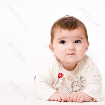 Baby lookup