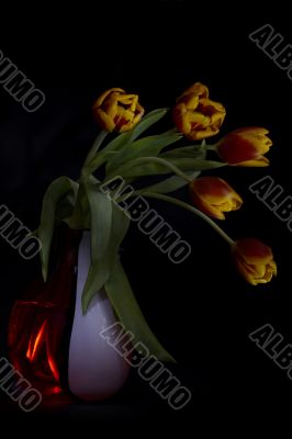 Tulips at night