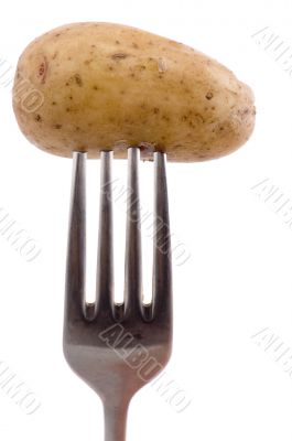 potato on fork