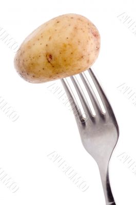 potato with fork