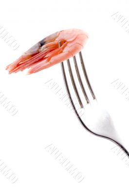 shrimp with fork