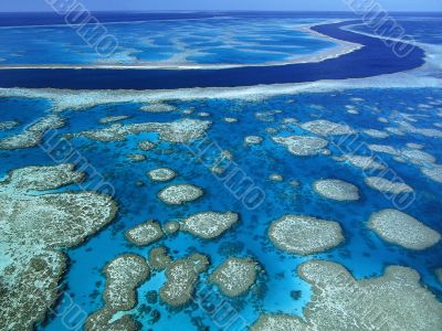 Barrier Reef From Air