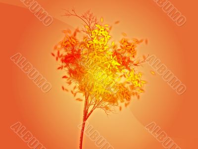 Autumn tree