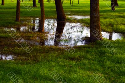 Wet Park