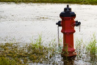 Fire Hydrant