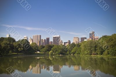 Skyscrapers and trees