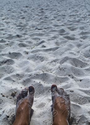 Feet