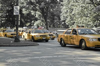 Taxi cars in Central park