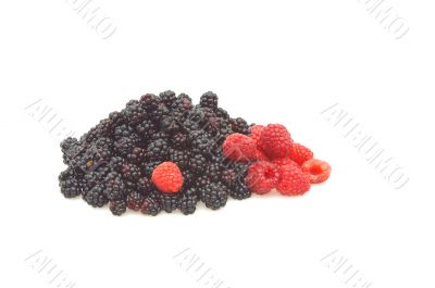 Pile of raspberries and blackberries.