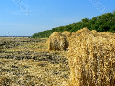 haystack