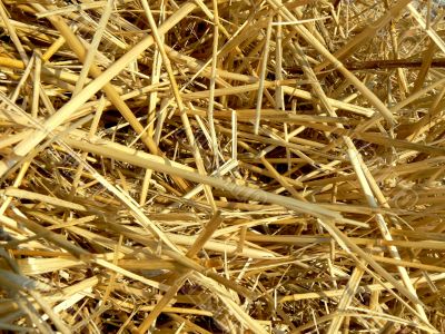 haystacks