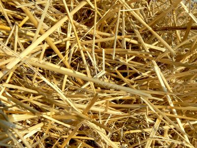 haystacks