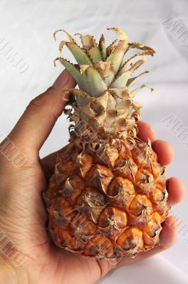 an ananas