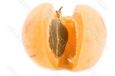 apricot clingstone close up