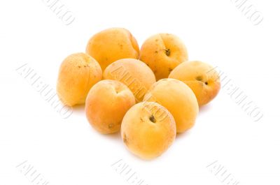 apricot on white