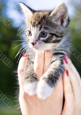 little one