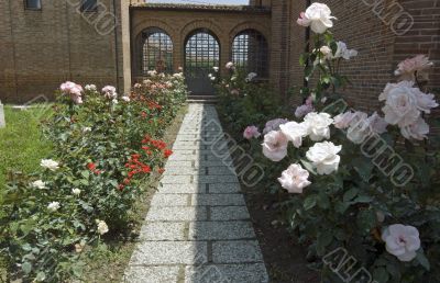 Garden of a church